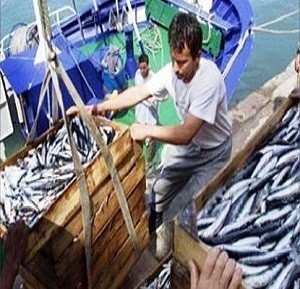 جيجل/المصادقة على 5 ملفات للاستثمار في قطاع الصيد البحري