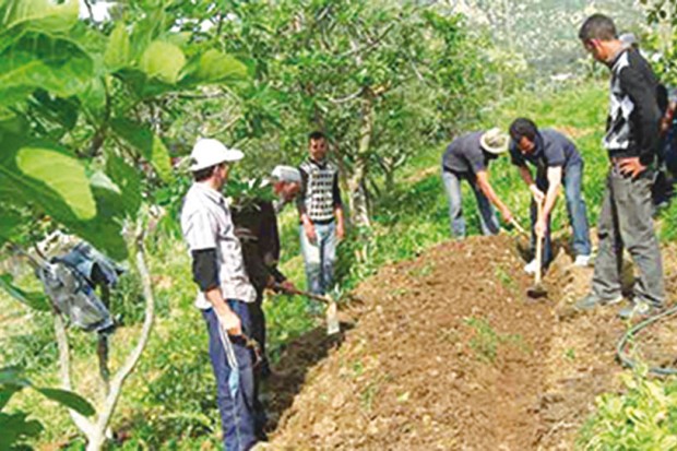 L'agriculture en première place