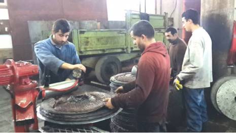 Les rendements oléicoles s'annoncent en deça des objectifs