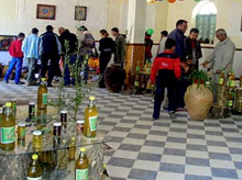 Boumerdès / Agriculture