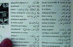 Traduction littéraire