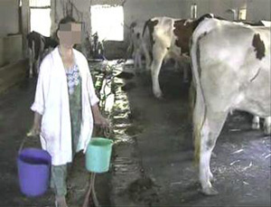 منع البيع بالمحلات قلّص المهنة بالبيض