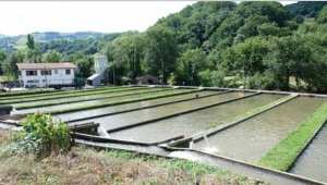 Formation professionnelle: nouvelles spécialités lancées à l'Ouest du pays