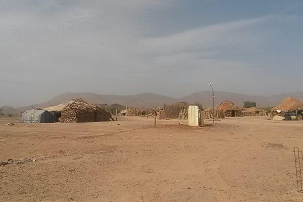 ارتفاع مقلق لداء الحمى المالطية بعاصمة مزاب غرداية