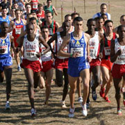 Omnisports / Cross-country - Championnats d'Afrique