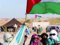 le président bouteflika réaffirme le soutien de l'algérie aux efforts de l'ONU