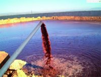 La margine fait des dégâts dans les cours d'eau de la région