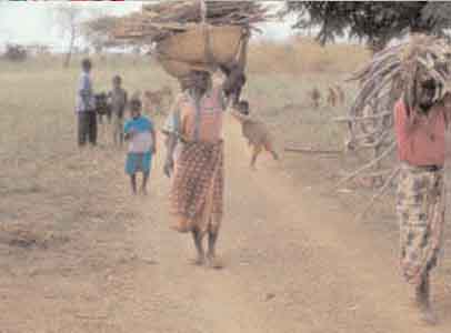 La foresterie communautaire, un catalyseur de la durabilité et des moyens de subsistance