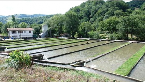 Formation professionnelle: nouvelles spécialités lancées à l'Ouest du pays