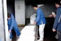 La production de lait pasteurisé sur une courbe ascendante