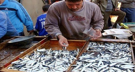 La sardine à 800 DA/kg !