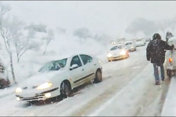 Abondantes chutes de neige à Tlemcen