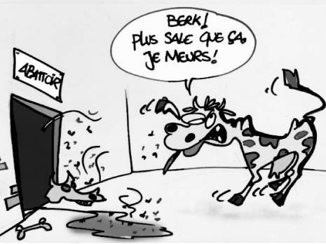 Les règles d'hygiène et de salubrité non respectées