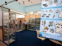 Les managers lorgnent l'export