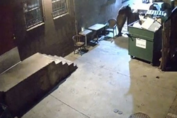 يسرق معدّات ويخفيها في حاوية للقمامة ببلدية بسكرة