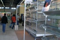 Un espace destiné au développement des grandes surfaces