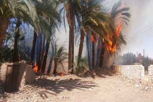 إتلاف نخيل وأضرار مادية في 11 حريقا بالوادي