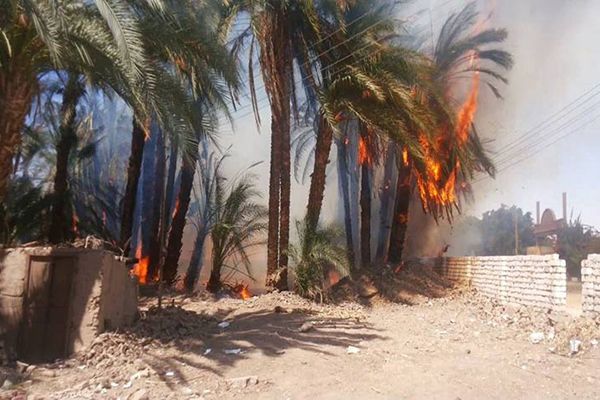 إتلاف نخيل وأضرار مادية في 11 حريقا بالوادي