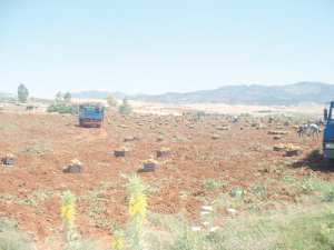 لا غرف تبريد ولا مصانع تحويل بغليزان