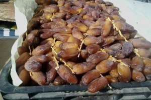 غلاء غير مبرر لأسعار التمور بورقلة