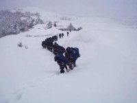 Trafic routier difficile au niveau de six wilayas