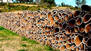 Unité de liège Béjaïa