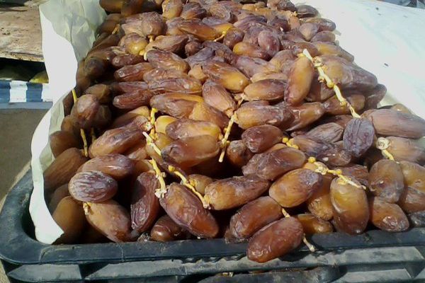 غلاء غير مبرر لأسعار التمور بورقلة