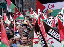 Sahara occidental / Les réponses de Ban