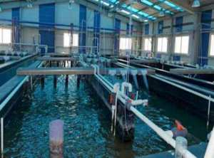 Aménagement de l'aquarium de Beni Saf