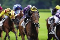 MALIKSHAM, UN TOP WEIGHT DE CHARME