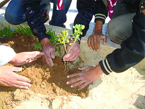 Journée internationale de l'arbre
