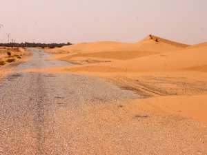 لمكافحة زحف الرمال عبر النقاط السوداء بأدرار