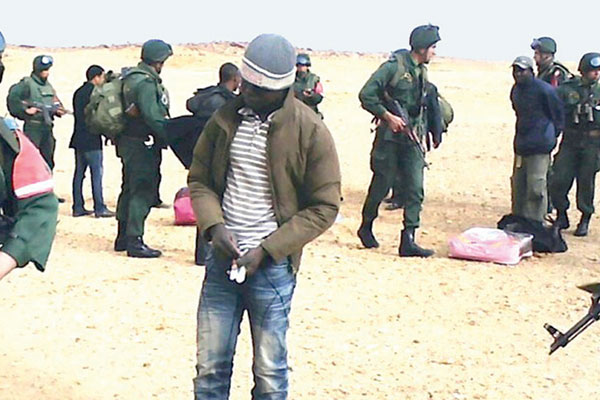 الجيش ينقذ 17 