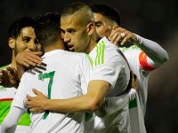 Les Verts en démonstration