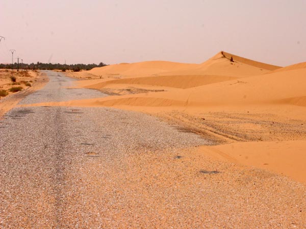 لمكافحة زحف الرمال عبر النقاط السوداء بأدرار