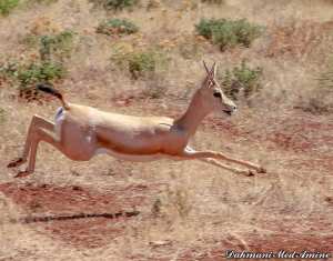 La randonnée pédestre