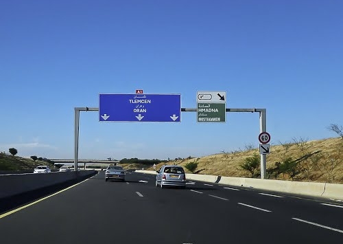 اجتثاث عشرات أشجار النخيل المستخدمة للزينة بالطريق السيار بوهران