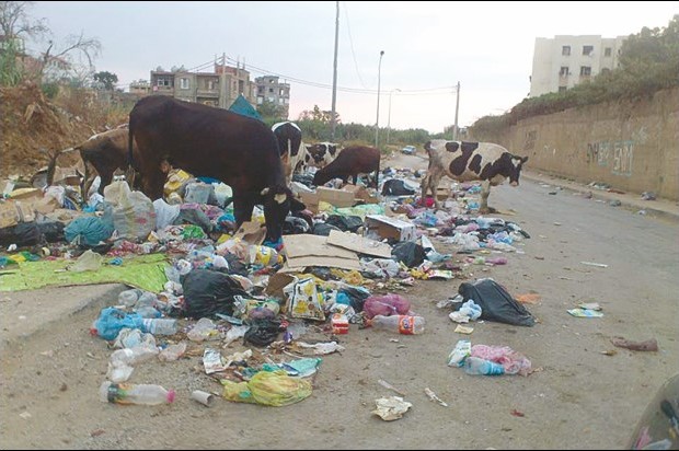 Une opération de volontariat pour nettoyer le site du 3e Kilomètre