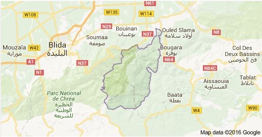 قتيل و 08 جرحى في انفجار لغم بمشروع نفق حمام ملوان بالبليدة