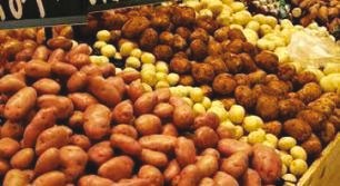 Le Salon Batata-Expo 2016 pour le 3 mai