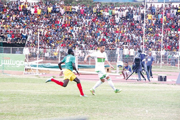 Les Verts ont du caractère !