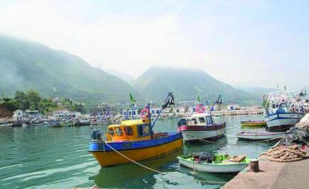 باعة السمك بجيجل يطالبون بتهيئة وتنظيم المسمكة القديمة