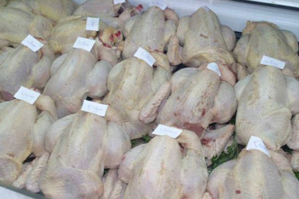 انخفاض أسعار اللحوم البيضاء يكبد المربين خسائر معتبرة ببجاية