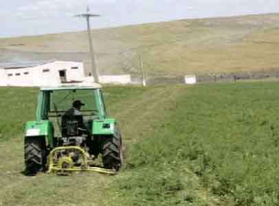 Secteur de l'agriculture