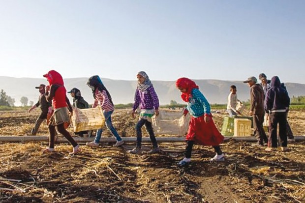 Eradiquer le phénomène