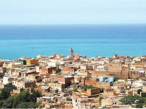 Potentiel et pépinière