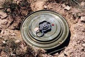 إصابة مواطن في انفجار لغم بعين الدفلى