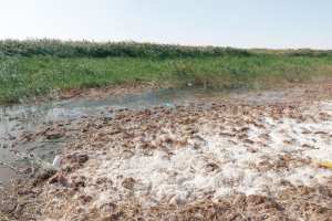 La menace de paludisme pèse sur les habitants d'El-Barka !