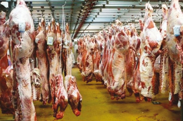 L'Algérie représente 4% de la production mondiale de viande ovine