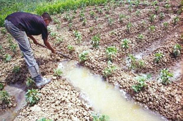 Un concept flou à Oran